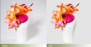 clipping-path4 (1)